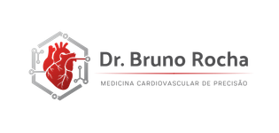 Bruno Rocha MP